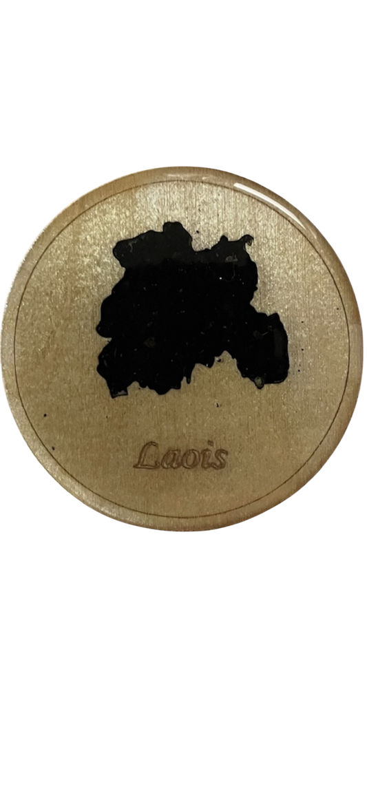 County Laois 4 piece coaster set